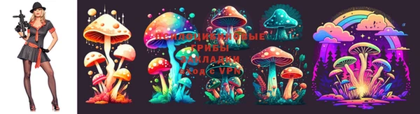 амф Армянск
