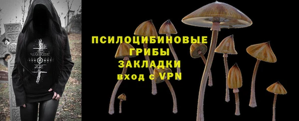 дмт Балахна
