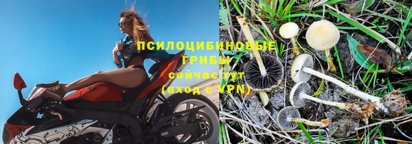 дмт Балахна