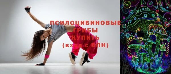 прущая мука Арсеньев